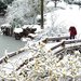 潜江市好玩的地方